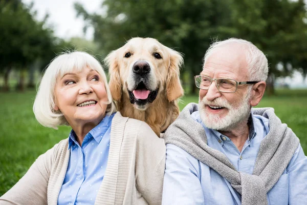 10 Profound Health Benefits Of Pets For Older Adults